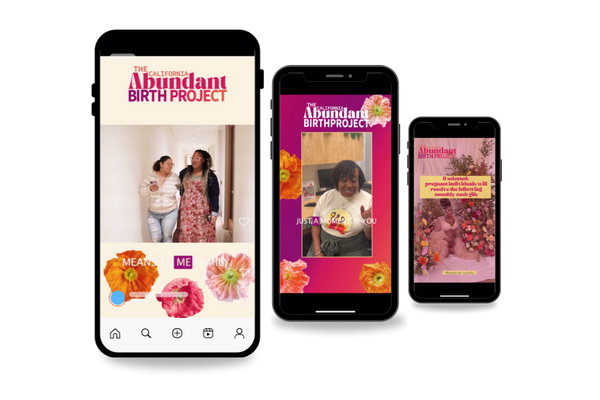 Abundant Birth Project